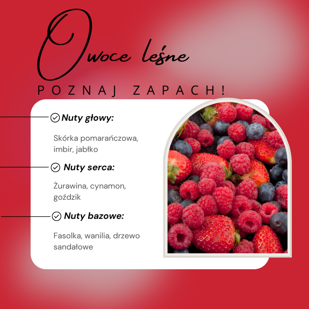 Owoce leśne