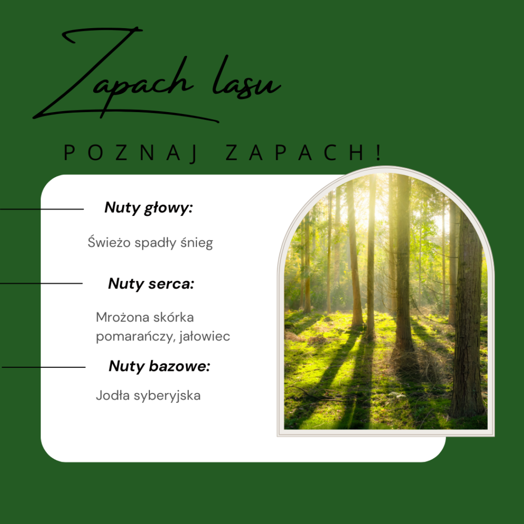 Zapach lasu